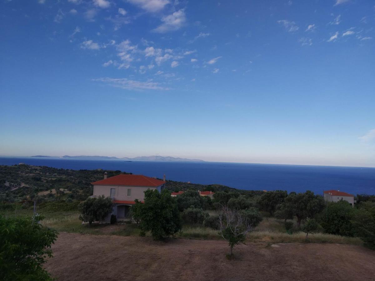 Ellina'S Home - Euboea Island Greece Oxilithos Luaran gambar