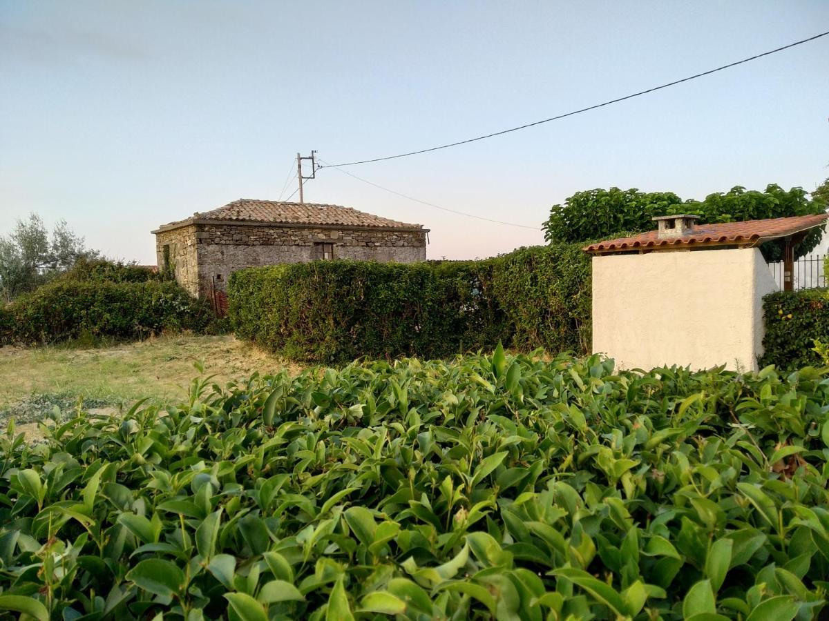 Ellina'S Home - Euboea Island Greece Oxilithos Luaran gambar